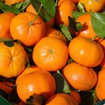 clementines-318210_640